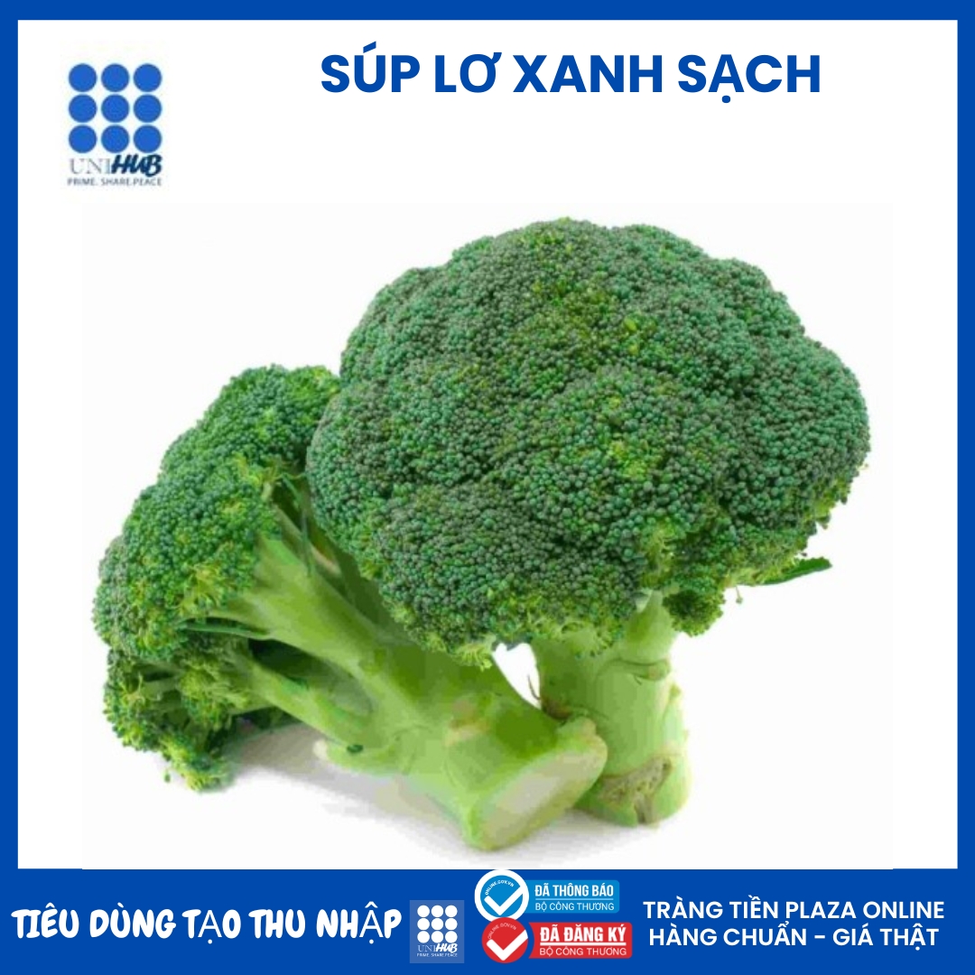 Súp lơ sạch - Mua 2 tặng  1
